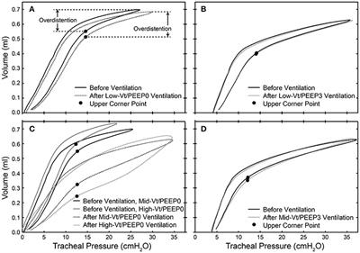 Linking Ventilator Injury-Induced Leak across the Blood-Gas Barrier to Derangements in Murine Lung Function